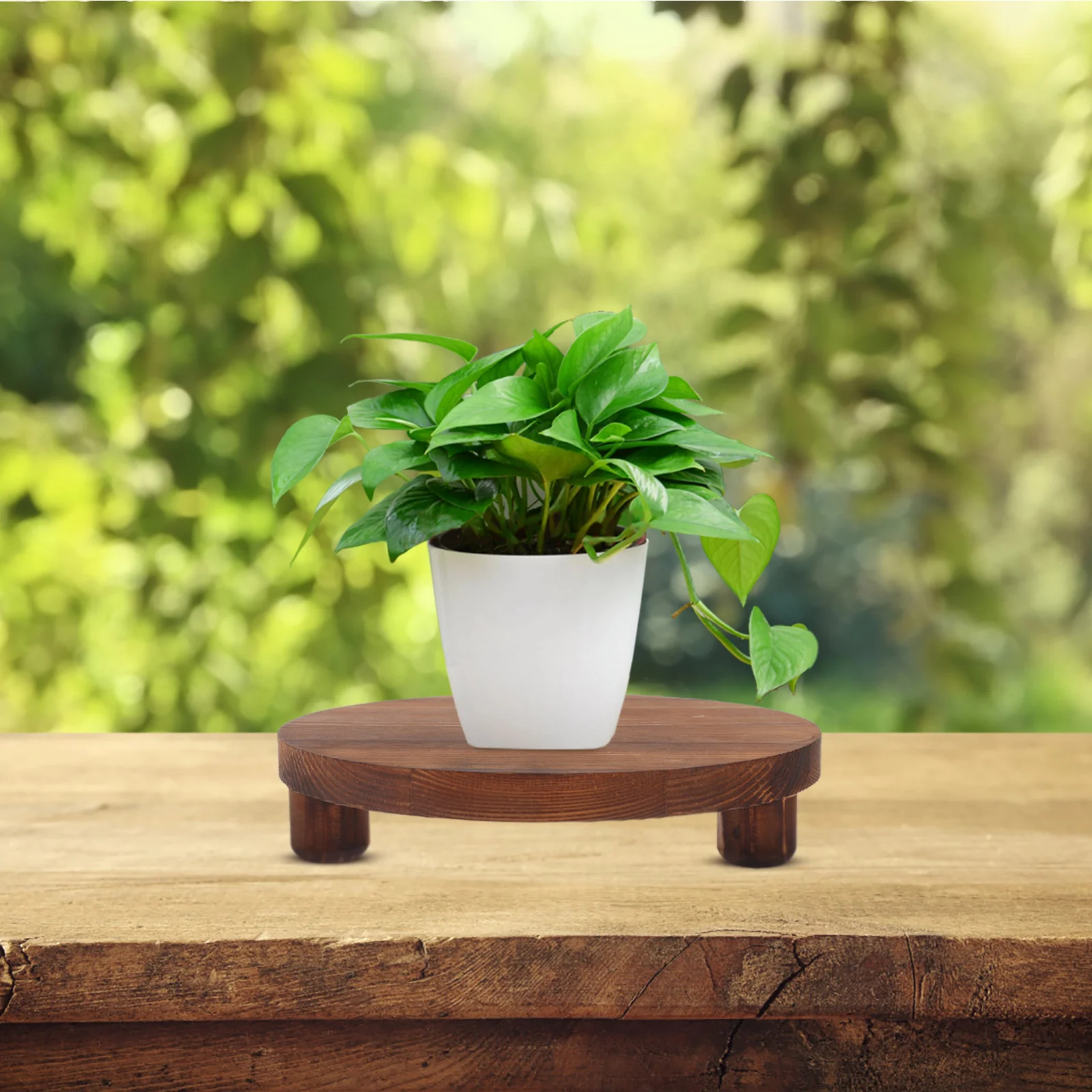 Solid Wood Flower Pot Stand Display Riser Desktop Succulent Base Rustic Cosmetics Wooden Planter
Solid Wood Flower Pot Stand Display Riser Desktop Succulent Base Rustic Cosmetics Wooden Planter