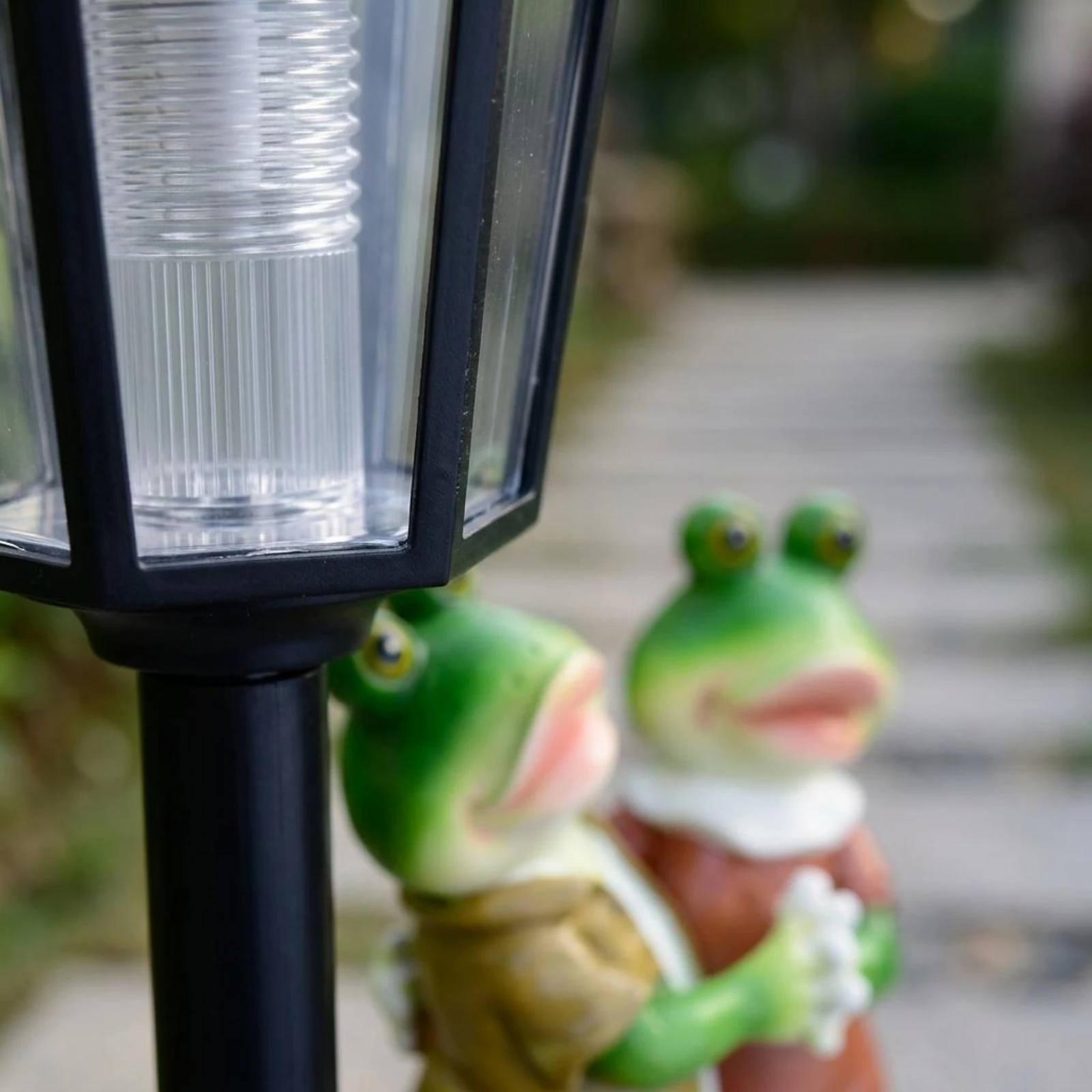 Lantern Frog Statue Stone-Look Base Frog Statue for Courtyard, Patio
Lantern Frog Statue Stone-Look Base Frog Statue for Courtyard, Patio