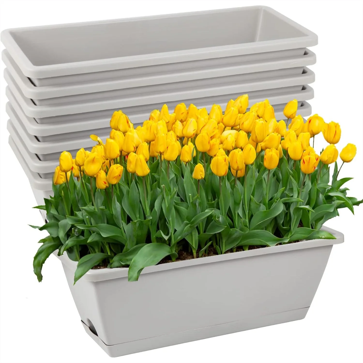 17 Inch Window Box Planter with Drainage Holes and Trays, 8 Pack Rectangle Plastic Planters for Windowsill Patio Garden Decor
17 Inch Window Box Planter with Drainage Holes and Trays, 8 Pack Rectangle Plastic Planters for Windowsill Patio Garden Decor