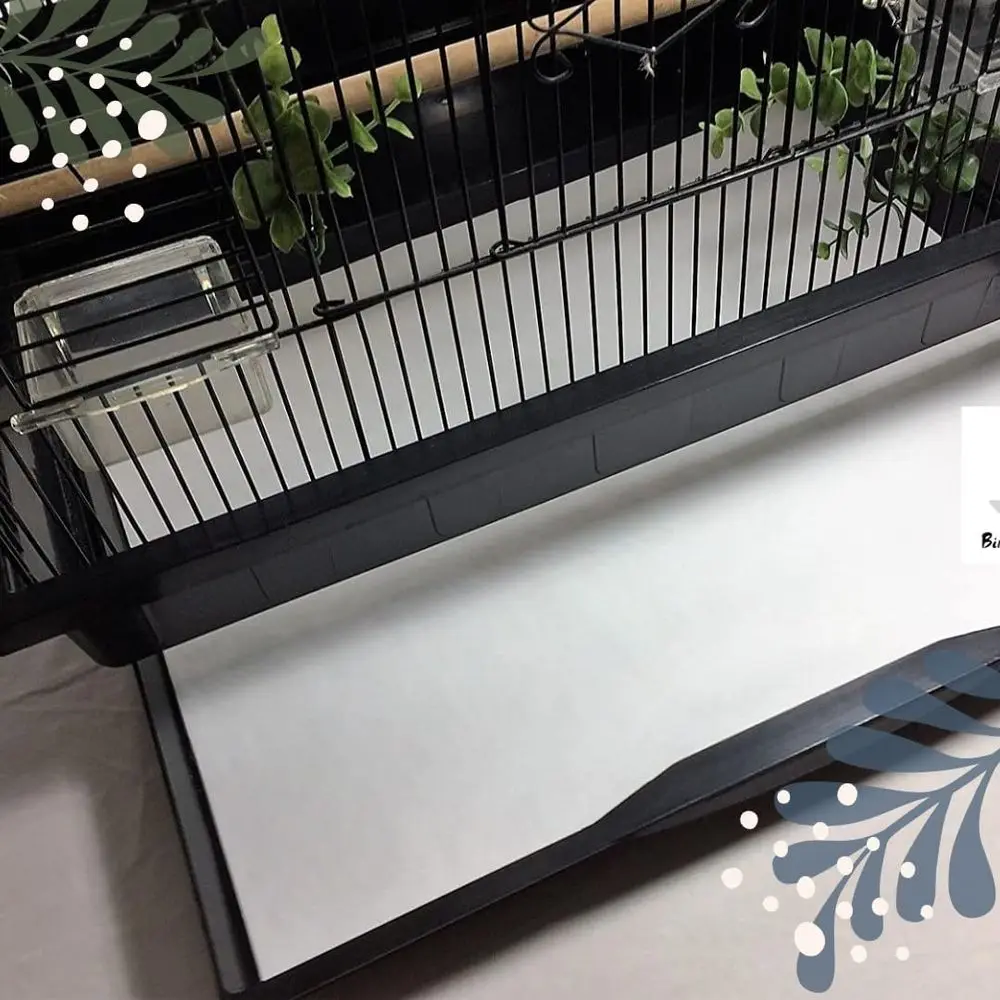 Poly Coated Birdcage Liners - Large, Customizable Pre-Cut Sheets: 60, 100, or 150 Packs, Max 250g
Poly Coated Birdcage Liners - Large, Customizable Pre-Cut Sheets: 60, 100, or 150 Packs, Max 250g
