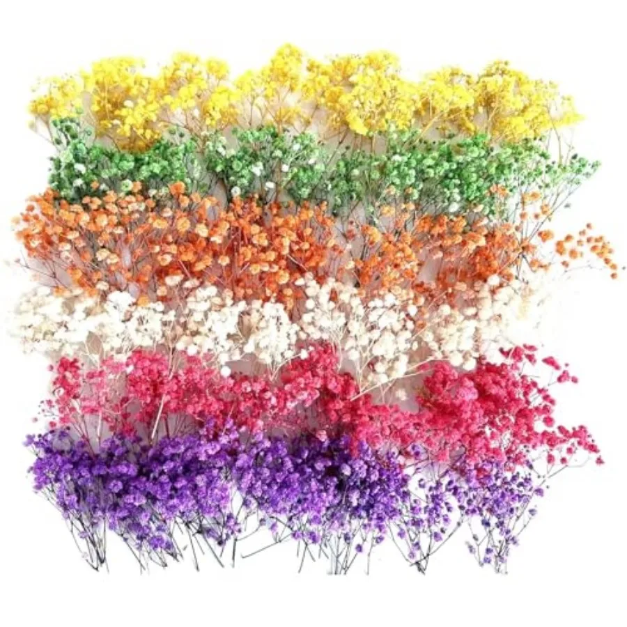 120 Pcs Mini Dried Baby Breath Flowers Gypsophila Ivory Flowers Dried Flowers for Vase Wedding Home Office Party Garden Card Ma
120 Pcs Mini Dried Baby Breath Flowers Gypsophila Ivory Flowers Dried Flowers for Vase Wedding Home Office Party Garden Card Ma