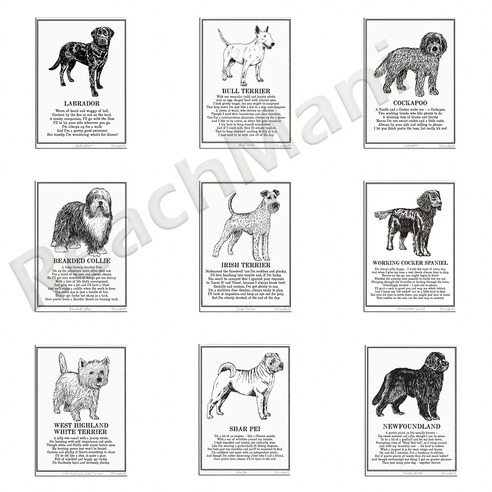 Английский бультерьер, узордэйл терьер, медведистый колли, лабрадор, какаду, плакат с животными лучедержателем иллюстрация поэзия печать 
Английский бультерьер, узордэйл терьер, медведистый колли, лабрадор, какаду, плакат с животными лучедержателем иллюстрация поэзия печать