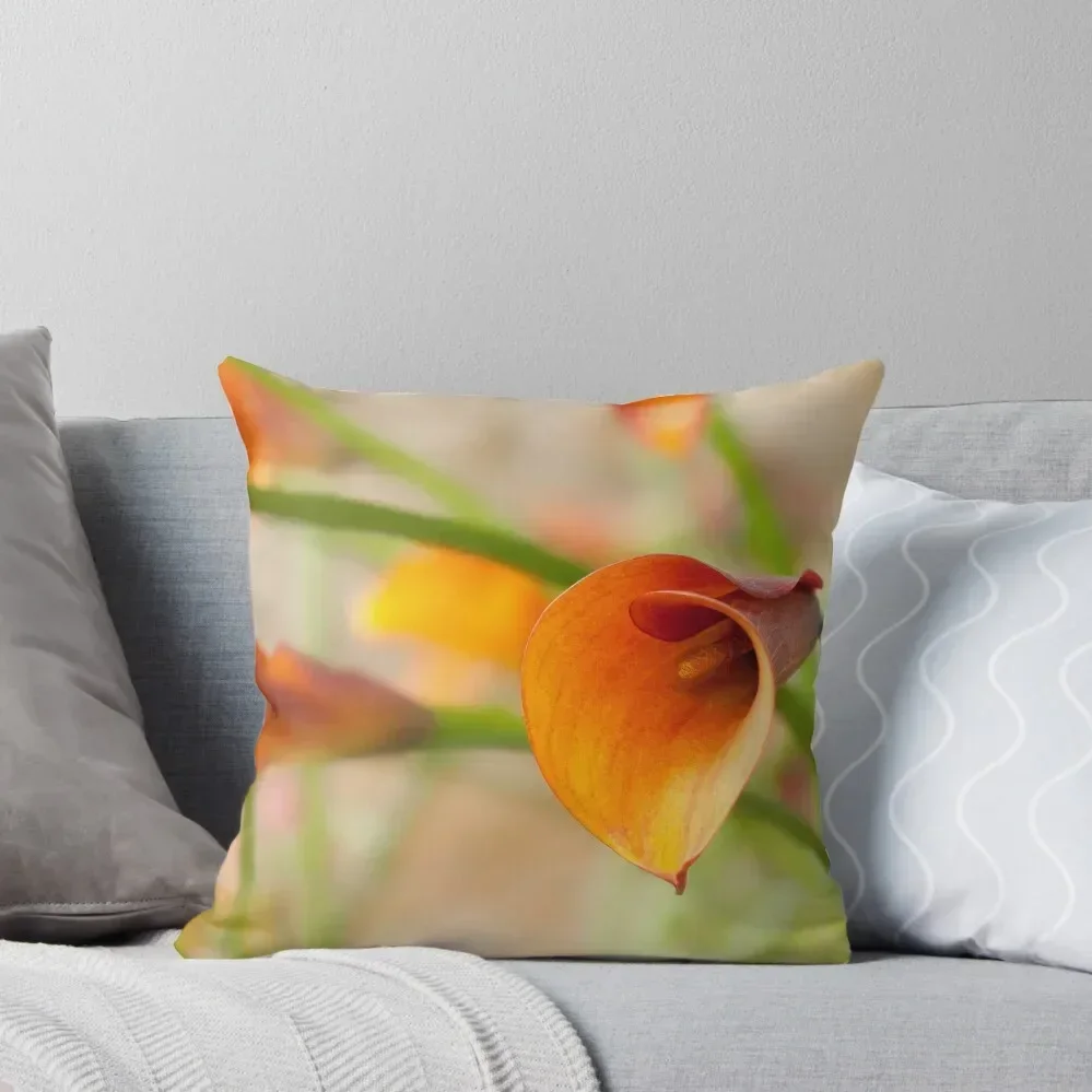 Calla Study - II Throw Pillow Pillowcases Bed Cushions christmas decorations for home 2025 Cushions pillow
Calla Study - II Throw Pillow Pillowcases Bed Cushions christmas decorations for home 2025 Cushions pillow
