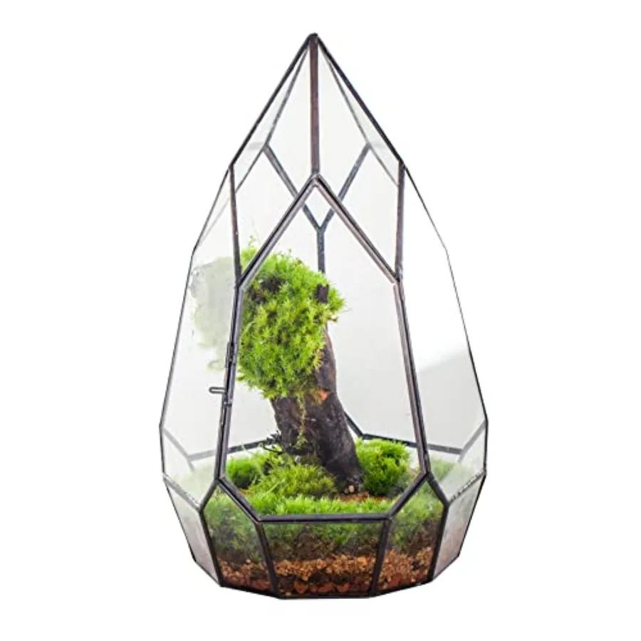Balcony planter DIY display: black glass geometric terrarium container with door, tabletop miniature botanical fairy garden for
Balcony planter DIY display: black glass geometric terrarium container with door, tabletop miniature botanical fairy garden for