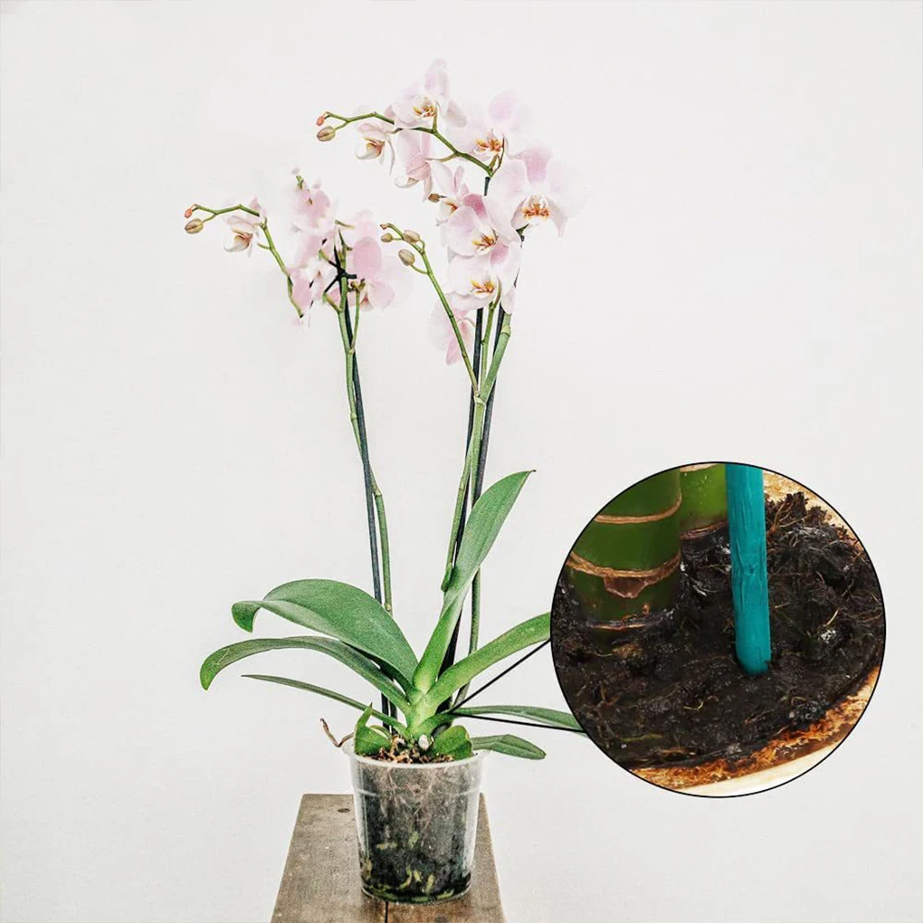 Green Clear Orchid Stakes For Invisible Support Practical And Durable Plant Accessories Reliable
Green Clear Orchid Stakes For Invisible Support Practical And Durable Plant Accessories Reliable