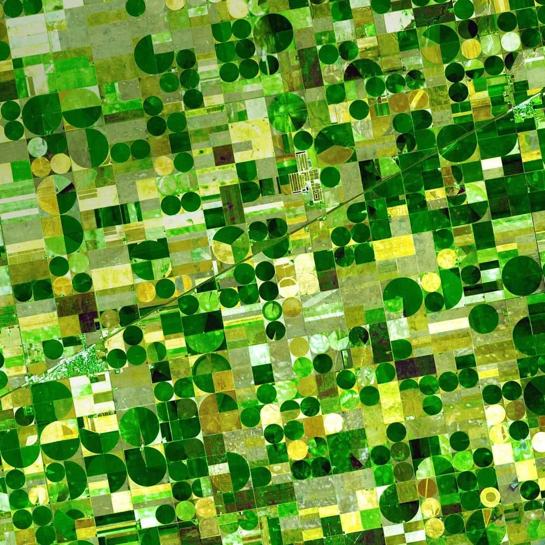 Android 14 For Audi Q5 2009-2017 21" 3d Curved Dual Screen Auto Car Radio Multimedia Player Bluetooth Carplay Dsp Gps Navigation
Android 14 For Audi Q5 2009-2017 21" 3d Curved Dual Screen Auto Car Radio Multimedia Player Bluetooth Carplay Dsp Gps Navigation