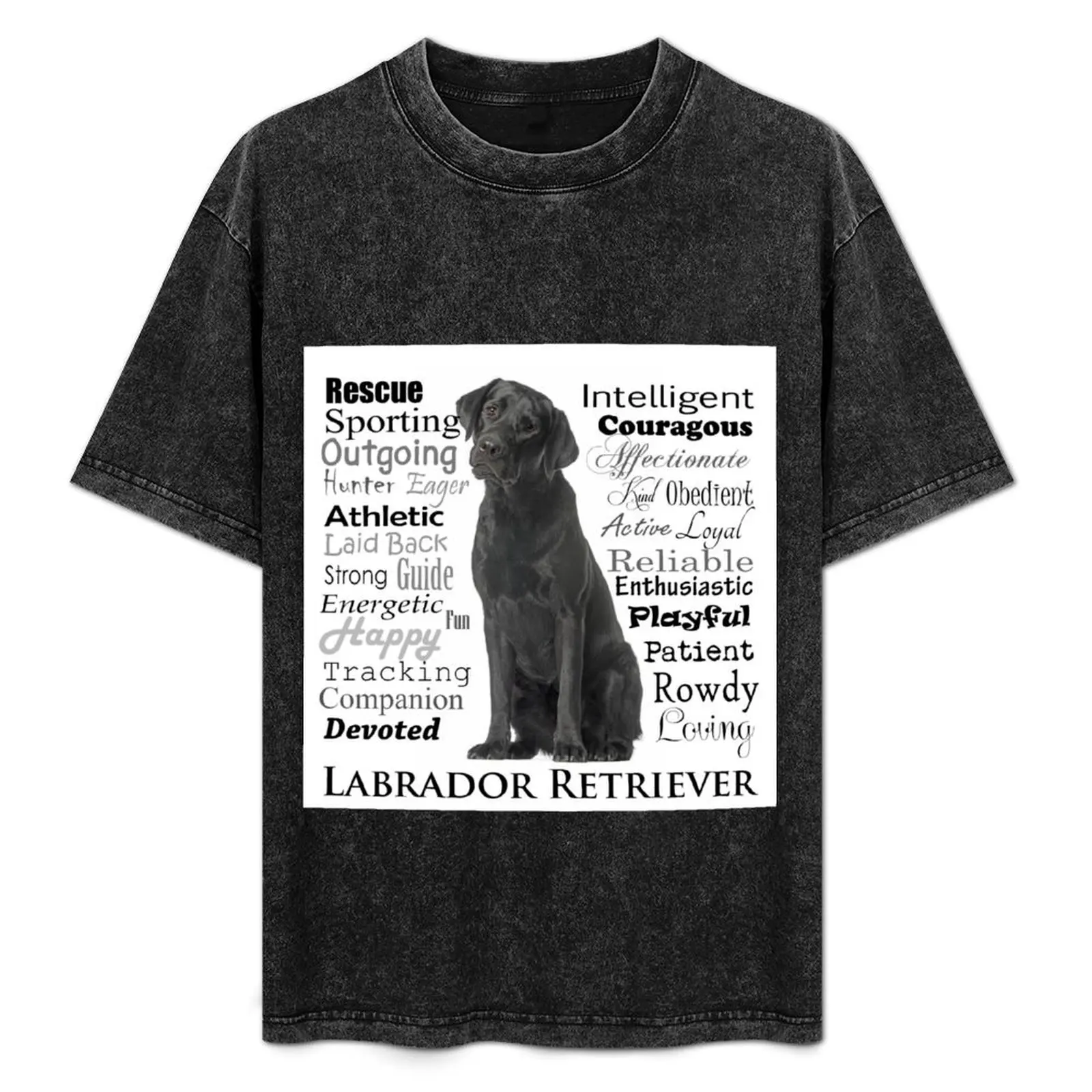 Black Lab Traits T-Shirt Summer Casual Loose T-Shirt
Black Lab Traits T-Shirt Summer Casual Loose T-Shirt