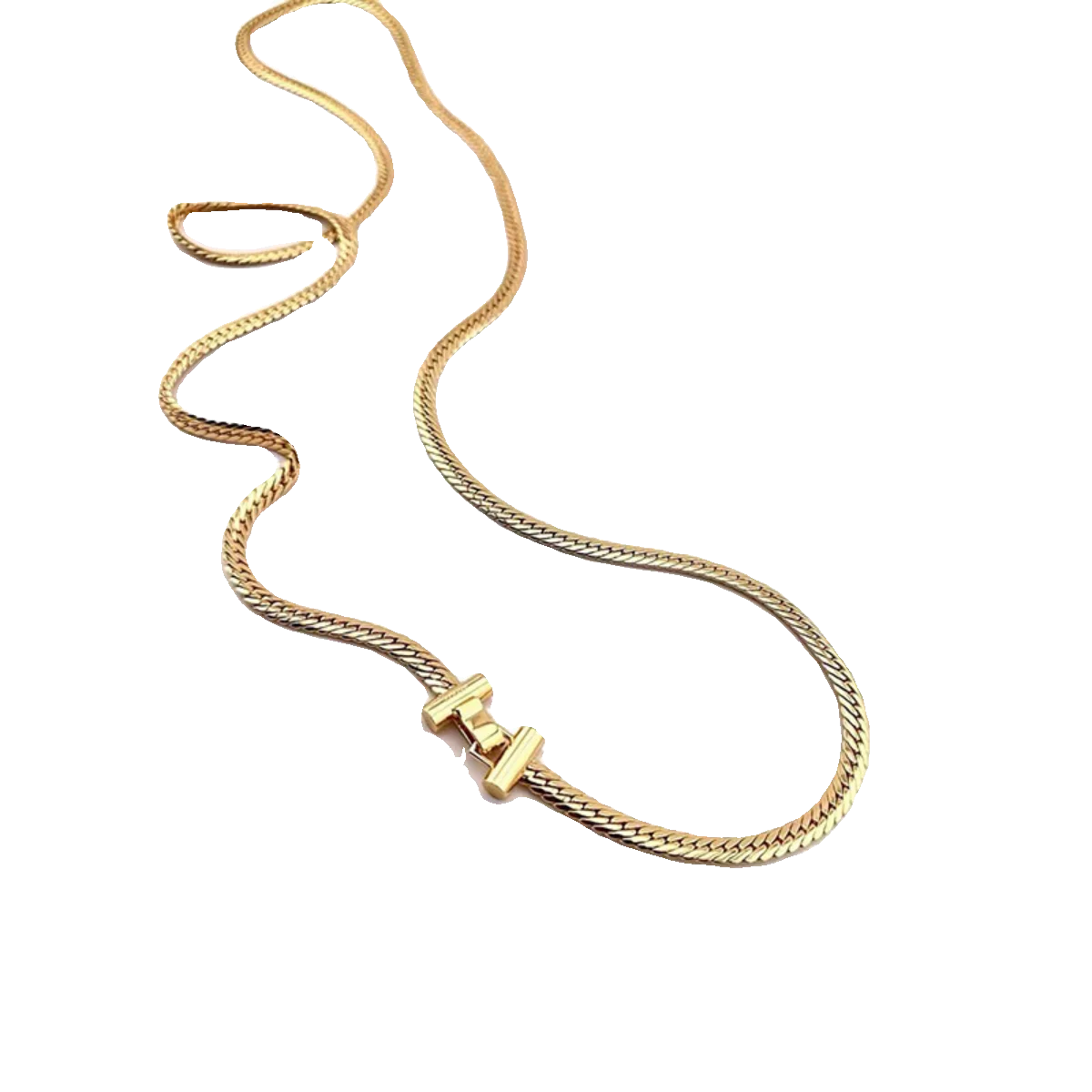 Exaggerated personality long wide-faced flat fish scale snake bone T-buckle necklace collarbone chain
Exaggerated personality long wide-faced flat fish scale snake bone T-buckle necklace collarbone chain