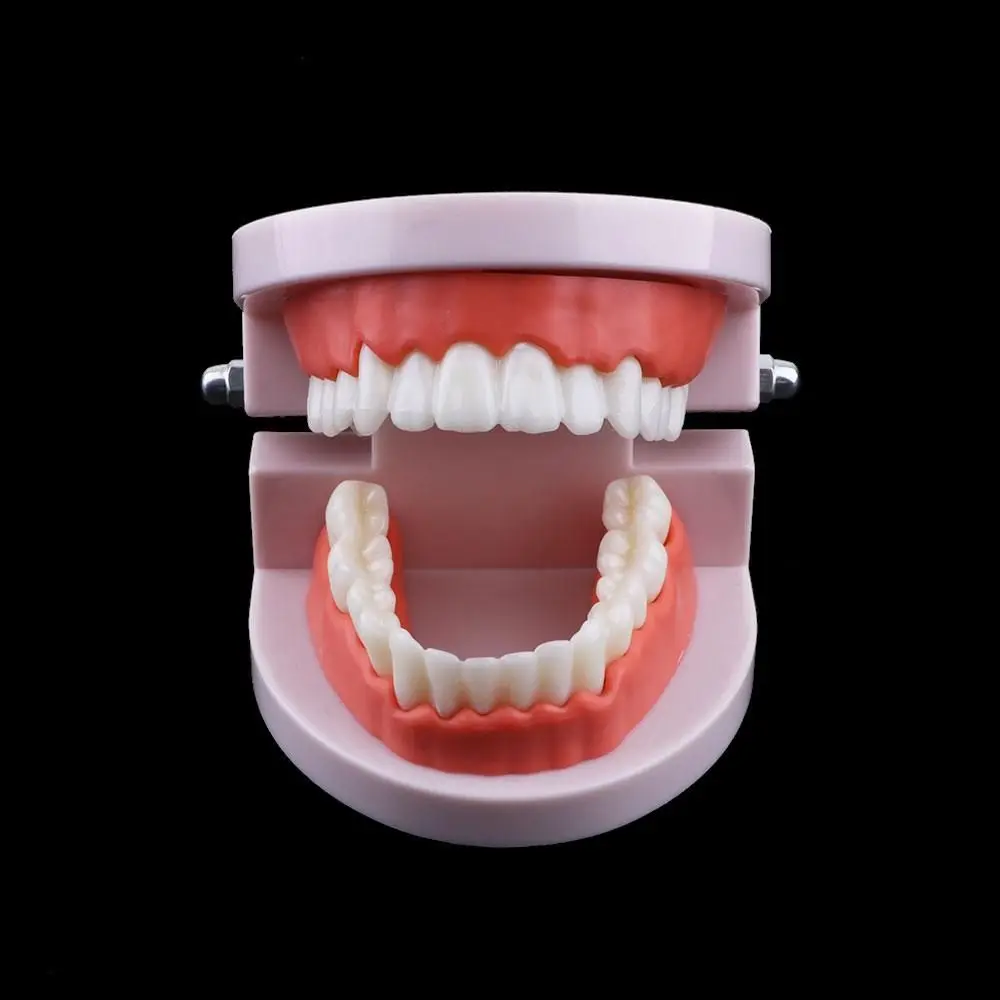 Adult Lab Typodont Demonstration Study Oral Education Teeth Model Flesh Pink Gums Denture Model Standard Teeth Model
Adult Lab Typodont Demonstration Study Oral Education Teeth Model Flesh Pink Gums Denture Model Standard Teeth Model