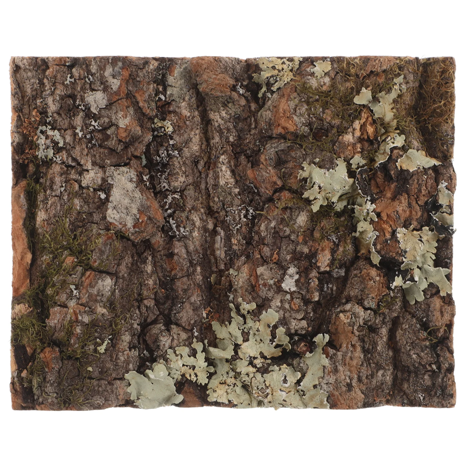 Cork For Natural Tree Decor Tank Aquarium Wall Fish Tank Decorations Lizard Snake Bark Platform Climbing Surface
Cork For Natural Tree Decor Tank Aquarium Wall Fish Tank Decorations Lizard Snake Bark Platform Climbing Surface