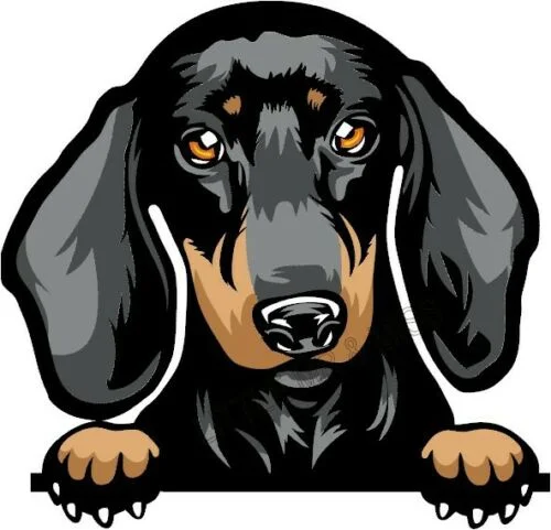 For DACHSHUND N0.2 Peeking Dog Colour Window Wall Laptop Mug Sticker w/proof
For DACHSHUND N0.2 Peeking Dog Colour Window Wall Laptop Mug Sticker w/proof