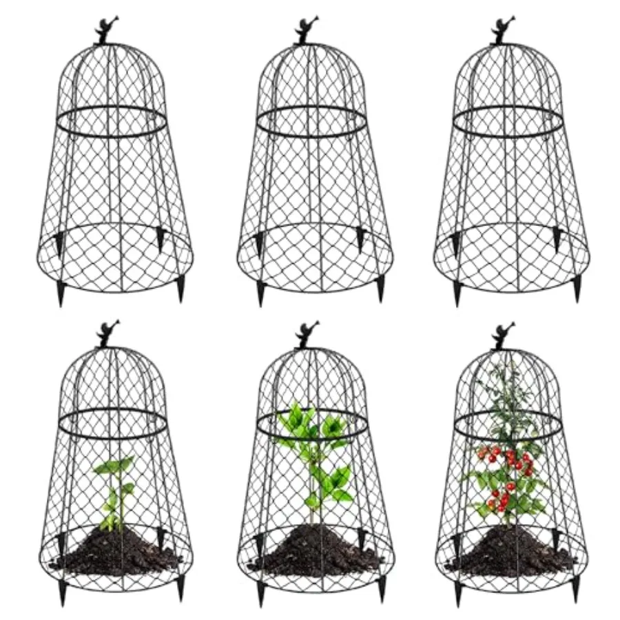 6 Pack Garden Cloches for Outdoor Plants, Rustproof Metal, Black, Animal-Proof Protection with Sturdy Chicken Wire Design, 13 D
6 Pack Garden Cloches for Outdoor Plants, Rustproof Metal, Black, Animal-Proof Protection with Sturdy Chicken Wire Design, 13 D