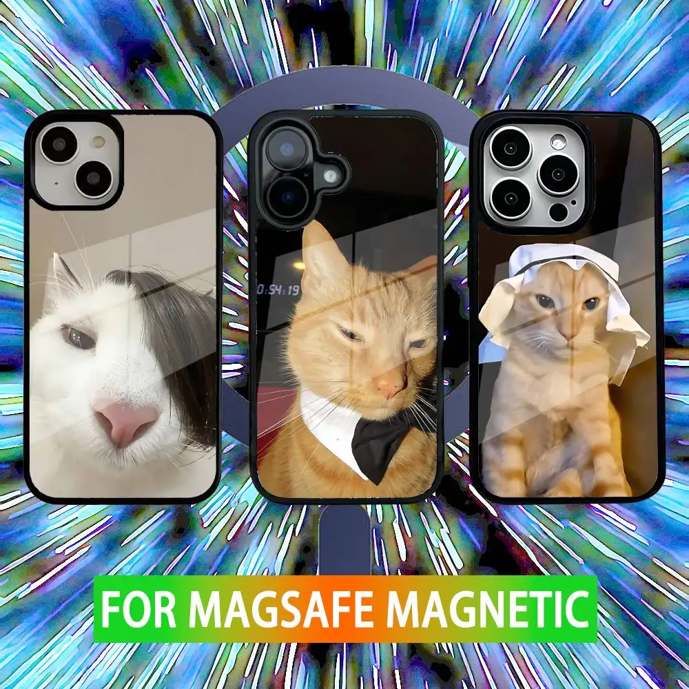Cute Cat Memes Phone Case For iPhone 16,15,14,13,12,11,Pro,Max,Plus,Mini,SE New Magsafe Magnetic Wireless Charging
Cute Cat Memes Phone Case For iPhone 16,15,14,13,12,11,Pro,Max,Plus,Mini,SE New Magsafe Magnetic Wireless Charging