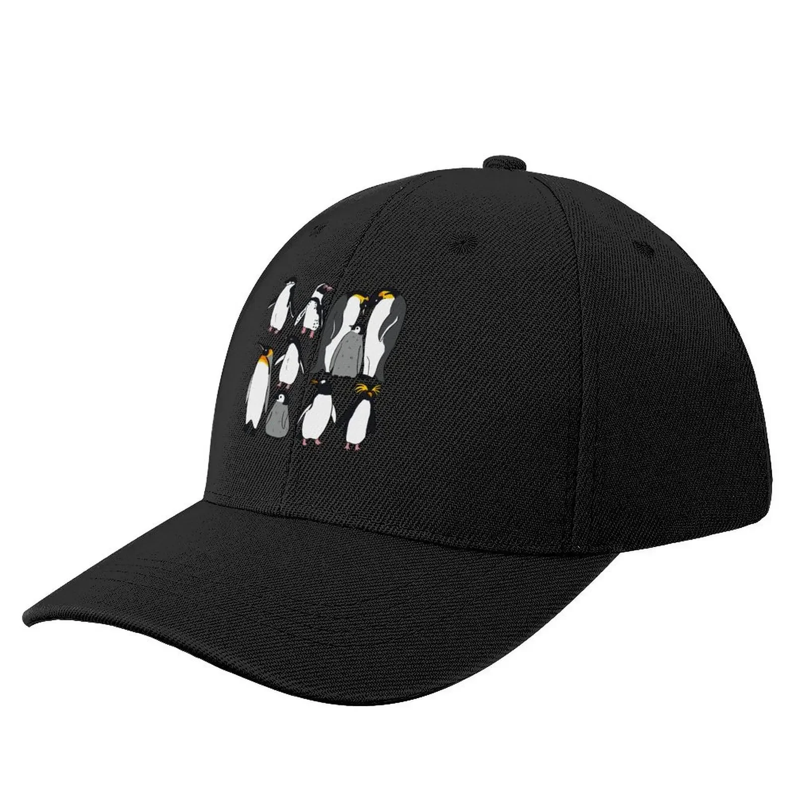 Cute penguin pattern Baseball Cap Designer Hat Mountaineering men's big size hat Men Caps Women's
Cute penguin pattern Baseball Cap Designer Hat Mountaineering men's big size hat Men Caps Women's