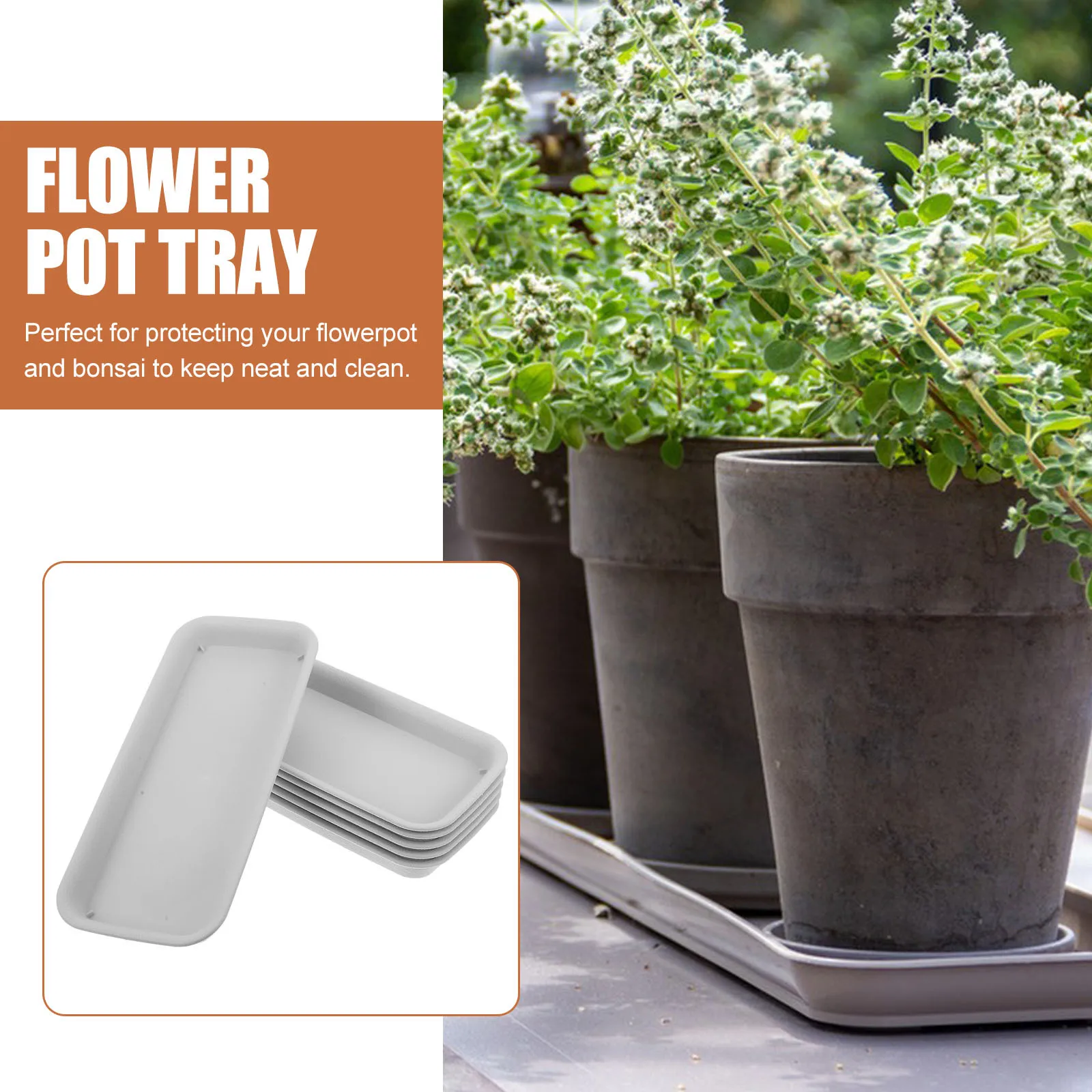 6Pcs Economical Planter Pot Saucers Reusable Base Tray Simple Design for Indoor Outdoor Use Flower Pot Tray Bottom Saucer
6Pcs Economical Planter Pot Saucers Reusable Base Tray Simple Design for Indoor Outdoor Use Flower Pot Tray Bottom Saucer