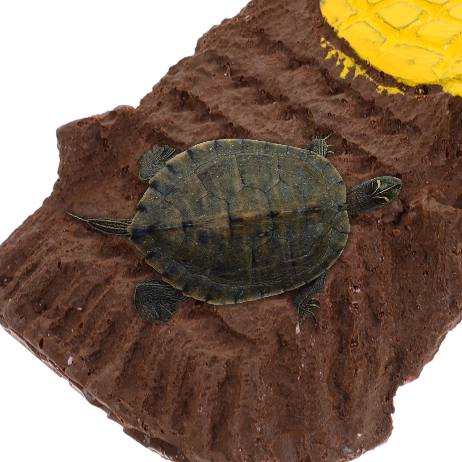 Resin Turtle Ramp Basking Platform Natural Dark Shelter for Reptiles Small Pets Terrarium Hideout Decor Cave Habitat Supply
Resin Turtle Ramp Basking Platform Natural Dark Shelter for Reptiles Small Pets Terrarium Hideout Decor Cave Habitat Supply