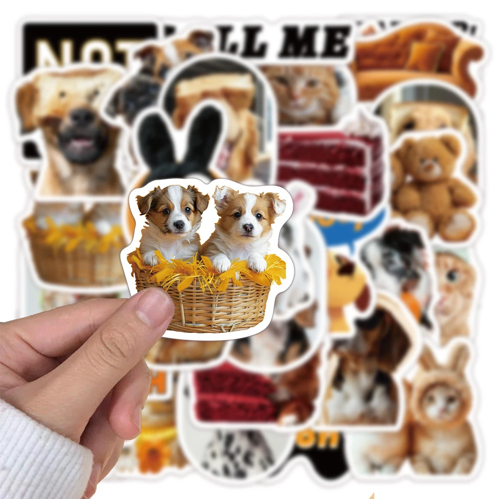 10/30pcs INS Style Cute Funny Cat MEME Animals Stickers Graffiti Phone Guitar Laptop Notebook Waterproof Sticker Kids Toy
10/30pcs INS Style Cute Funny Cat MEME Animals Stickers Graffiti Phone Guitar Laptop Notebook Waterproof Sticker Kids Toy