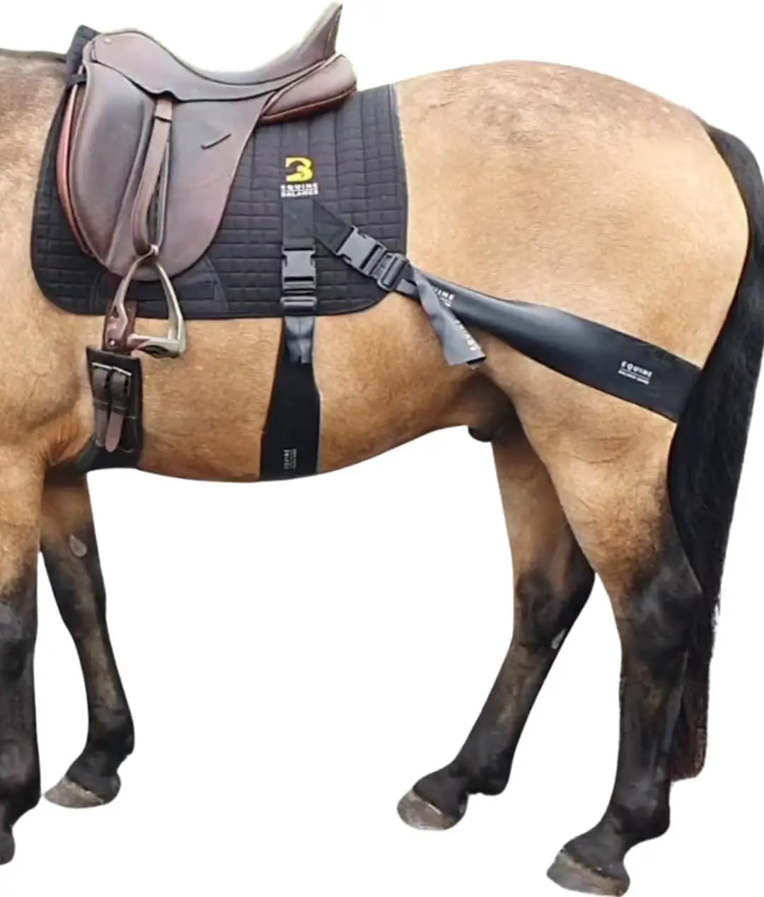 Horse Core Conditioning Saddle Pad with Balance Bands Training System
Horse Core Conditioning Saddle Pad with Balance Bands Training System