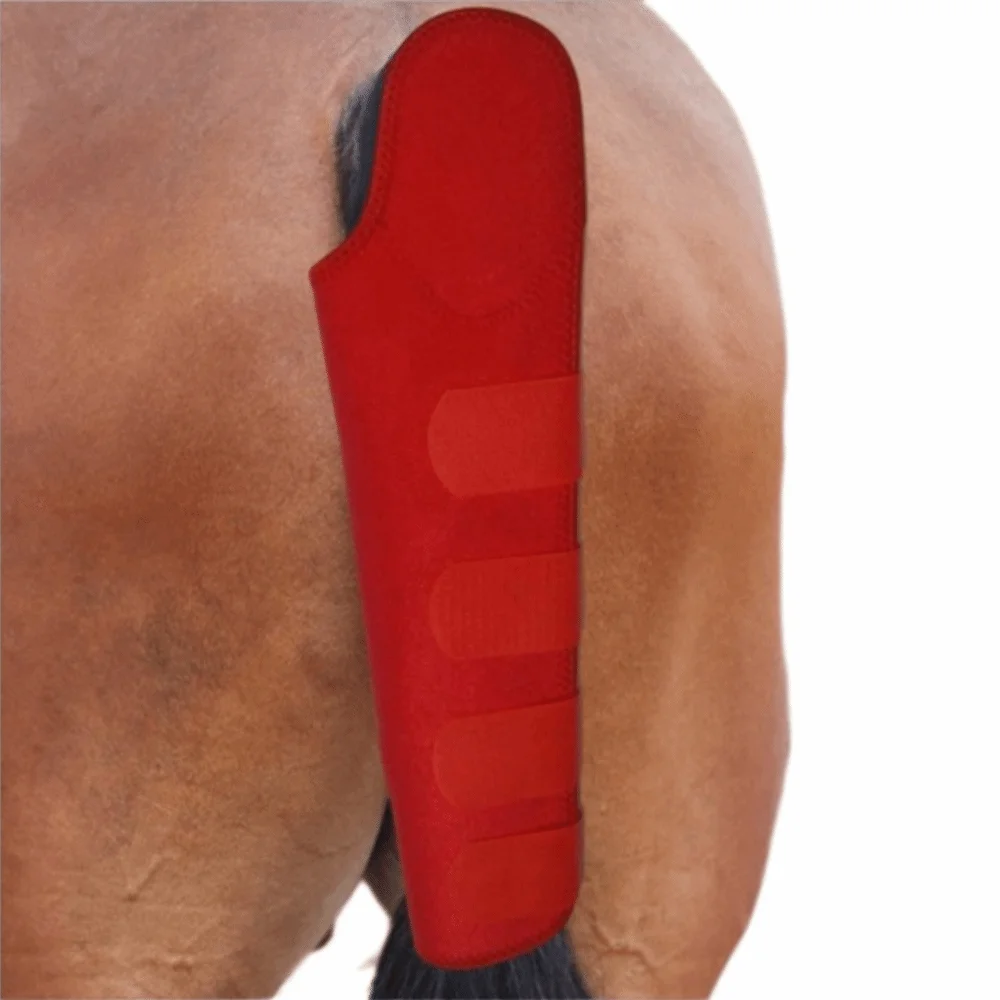 Effectively Large Size Horse Tail Protector Adjustable Fasteners Comfort-Fit Tail Guard Breathable Anti-Dirt Tail Wrap Turnout
Effectively Large Size Horse Tail Protector Adjustable Fasteners Comfort-Fit Tail Guard Breathable Anti-Dirt Tail Wrap Turnout