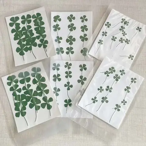 24PCS,Real Natural Dried Pressed Flowers Lucky Four Leaf Clover Branch,Dry Press Green Leaves DIY For Epoxy Resin,Candle, Nail