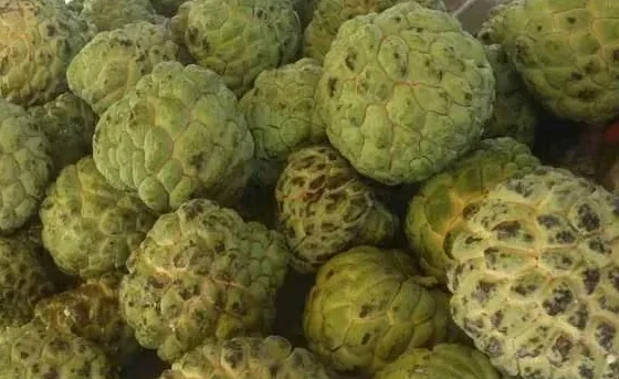 HPXGRC F405/F722 STACK 55A 42688-P Гироскоп 16 МБ Черный ящик Анализ полетов данных Запись Plug Play Racing FPV Drone
HPXGRC F405/F722 STACK 55A 42688-P Гироскоп 16 МБ Черный ящик Анализ полетов данных Запись Plug Play Racing FPV Drone