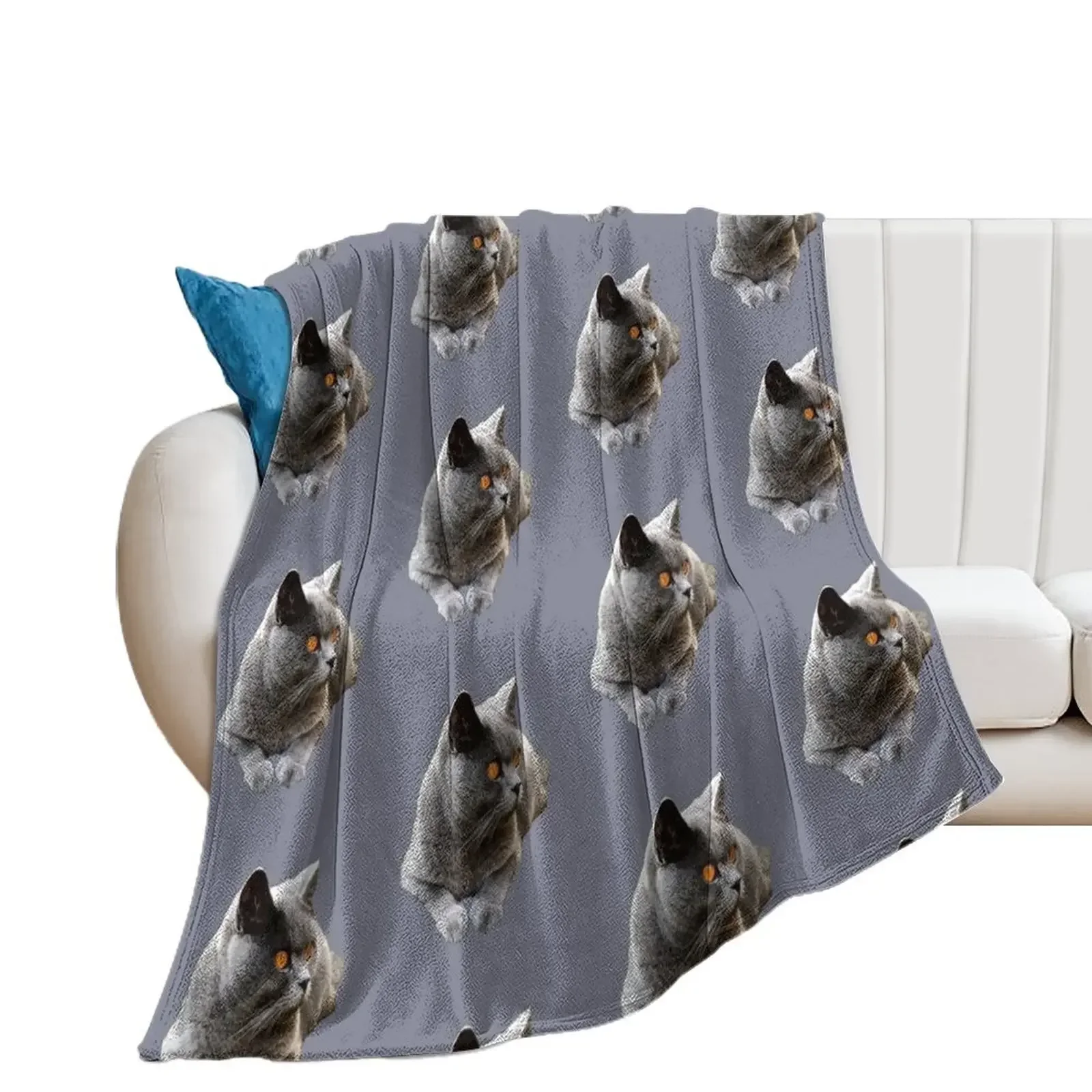 British Shorthair Blue Cat Throw Blanket anime warm for winter Designers Blankets
British Shorthair Blue Cat Throw Blanket anime warm for winter Designers Blankets