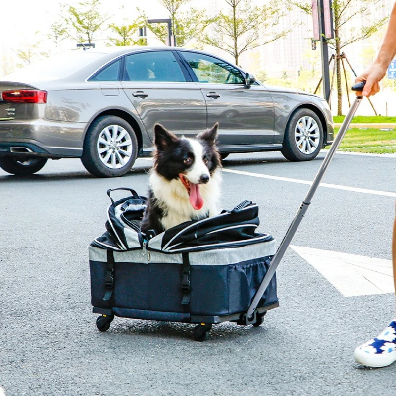 Портативная переноска для животных на колесиках, съемная, с универсальными колесами, дышащая, складная, вместительная сумка для питомцев
Портативная переноска для животных на колесиках, съемная, с универсальными колесами, дышащая, складная, вместительная сумка для питомцев