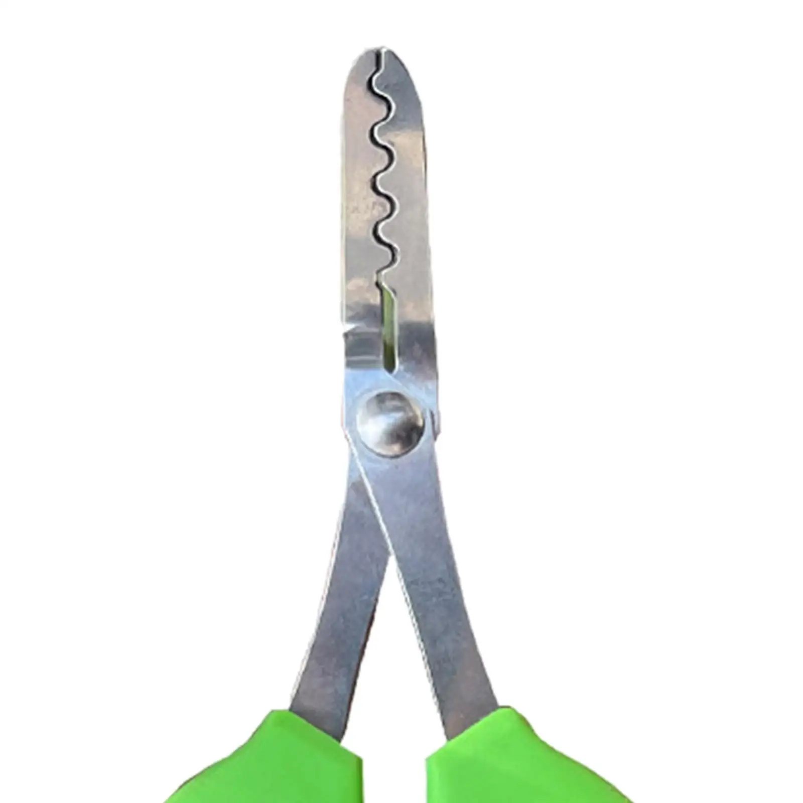 Garden Weeder Hand Tool Weeding Scissors Pulling Tool Length 17cm Smooth Roses Thorn Removing Tool for Lawn Yard
Garden Weeder Hand Tool Weeding Scissors Pulling Tool Length 17cm Smooth Roses Thorn Removing Tool for Lawn Yard