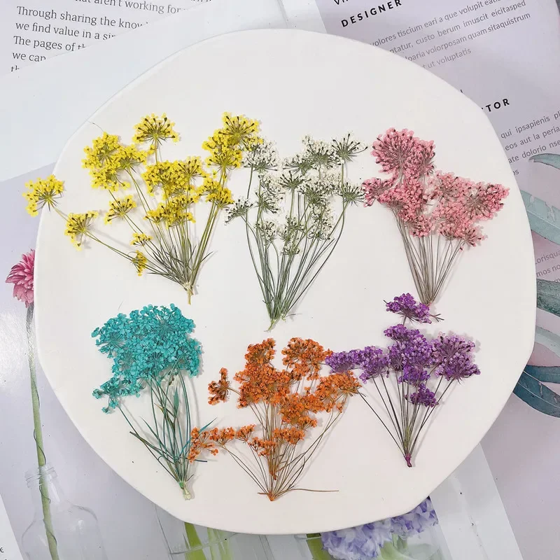 12pcs/5-8cm,Multi-branch lace snow flower,pressed mini flower manicure beauty face decoration,DIY phone case Christmas card gift
12pcs/5-8cm,Multi-branch lace snow flower,pressed mini flower manicure beauty face decoration,DIY phone case Christmas card gift