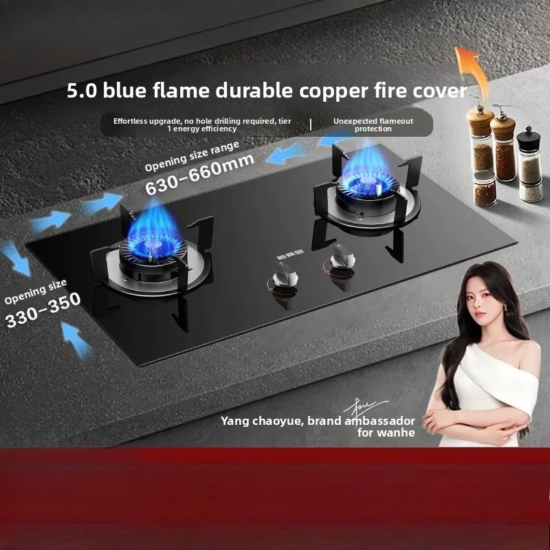 New Household Double Burner Gas Stove Built-in Desktop LPG Natural Gas High Fire Energy Class 1 Cooktop X1
New Household Double Burner Gas Stove Built-in Desktop LPG Natural Gas High Fire Energy Class 1 Cooktop X1
