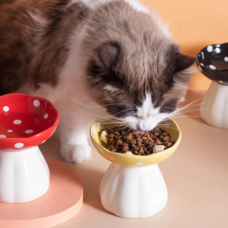 Mushroom Shape Ceramic Cat Bowl Elevated Shelf Dog Water Food Bowl Beard Friendly Raised Cat Snack Dish Feeder Pet Accessories
Mushroom Shape Ceramic Cat Bowl Elevated Shelf Dog Water Food Bowl Beard Friendly Raised Cat Snack Dish Feeder Pet Accessories
