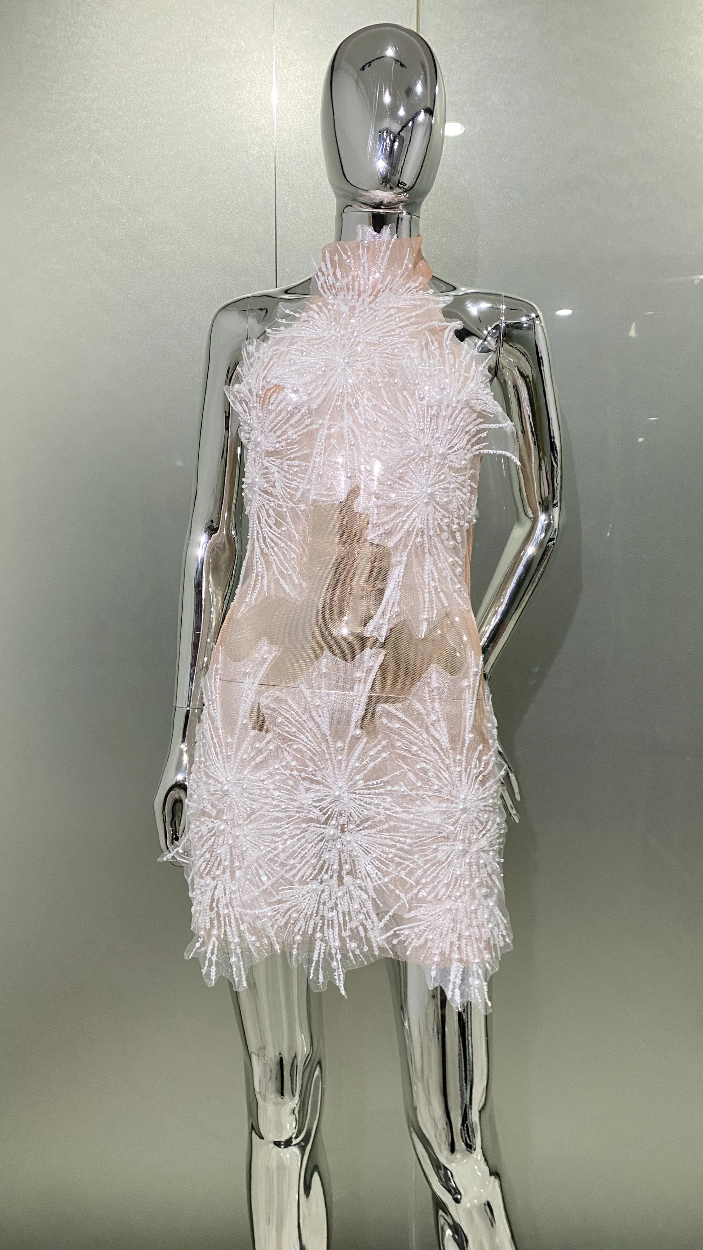 White Sequins Snowflake Embroidery Beading Sexy Mesh See Through Mini Dress Woman Birthday Party Outfit Performance Costume
White Sequins Snowflake Embroidery Beading Sexy Mesh See Through Mini Dress Woman Birthday Party Outfit Performance Costume