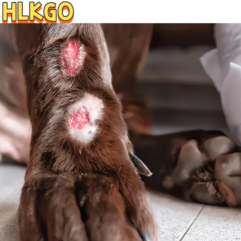 High Power Laser Therapy Device Medical Grade 650nm 808nm for Deep Penetration Physiotherapy and Rehabilitation
High Power Laser Therapy Device Medical Grade 650nm 808nm for Deep Penetration Physiotherapy and Rehabilitation