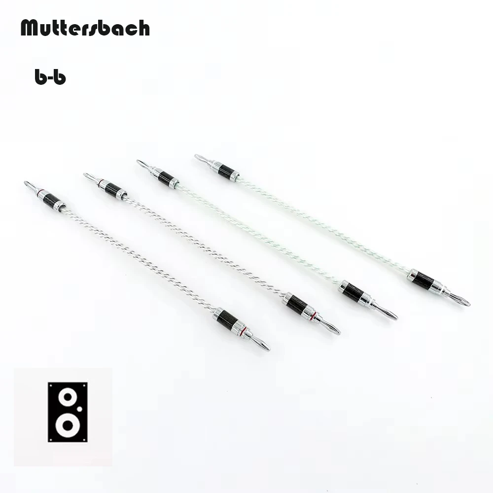 A set of 4PCS high-quality NORDOST VALHALLA handmade DIY speaker jumper cables for amplifier connection
A set of 4PCS high-quality NORDOST VALHALLA handmade DIY speaker jumper cables for amplifier connection