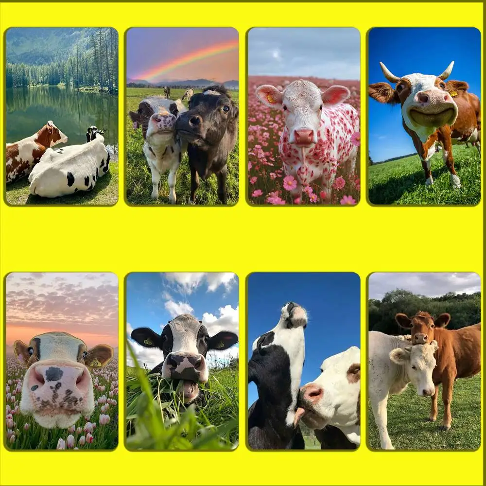 Lovely Cute Cow Cows OX Card Stickers For Debit Bank Credit Cards Metro Bus Pass Sticker Decoration Cover Skin
Lovely Cute Cow Cows OX Card Stickers For Debit Bank Credit Cards Metro Bus Pass Sticker Decoration Cover Skin
