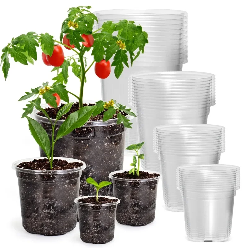 Top Quality 30 Packs Reinforced Clear Nursery Pots with Drainage Hole, Transparent Variety Pack Plastic Plant Pot Seedling
Top Quality 30 Packs Reinforced Clear Nursery Pots with Drainage Hole, Transparent Variety Pack Plastic Plant Pot Seedling