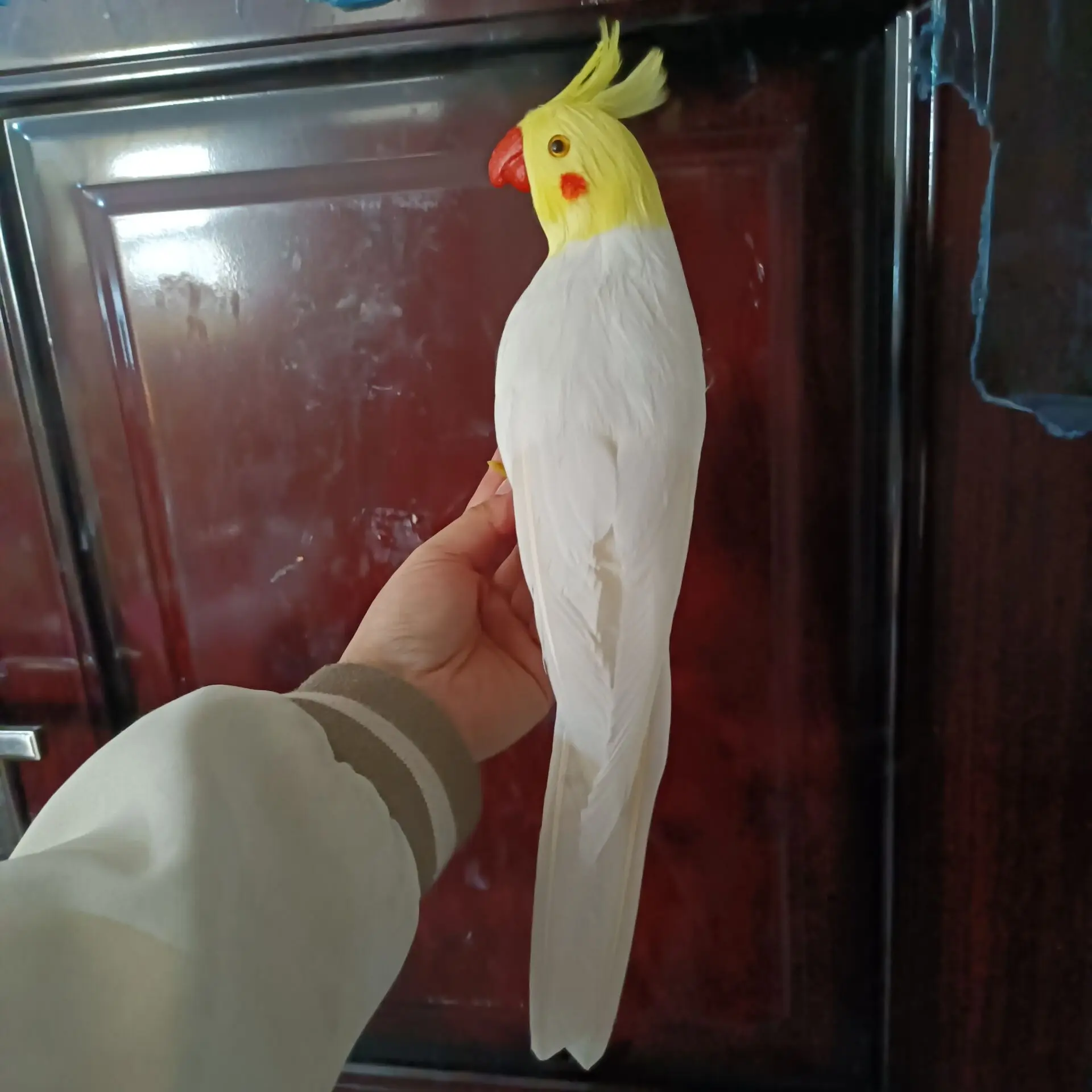 Белая искусственная игрушка из пенопласта и перьев, подарок модели какаду, около 33 см, c2779
Белая искусственная игрушка из пенопласта и перьев, подарок модели какаду, около 33 см, c2779