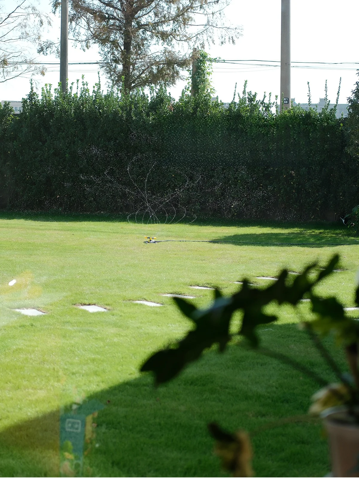 Весна 2026: Женская модная повседневная блузка с длинным рукавом из дышащей и комфортной ткани, приятной для кожи.
Весна 2026: Женская модная повседневная блузка с длинным рукавом из дышащей и комфортной ткани, приятной для кожи.