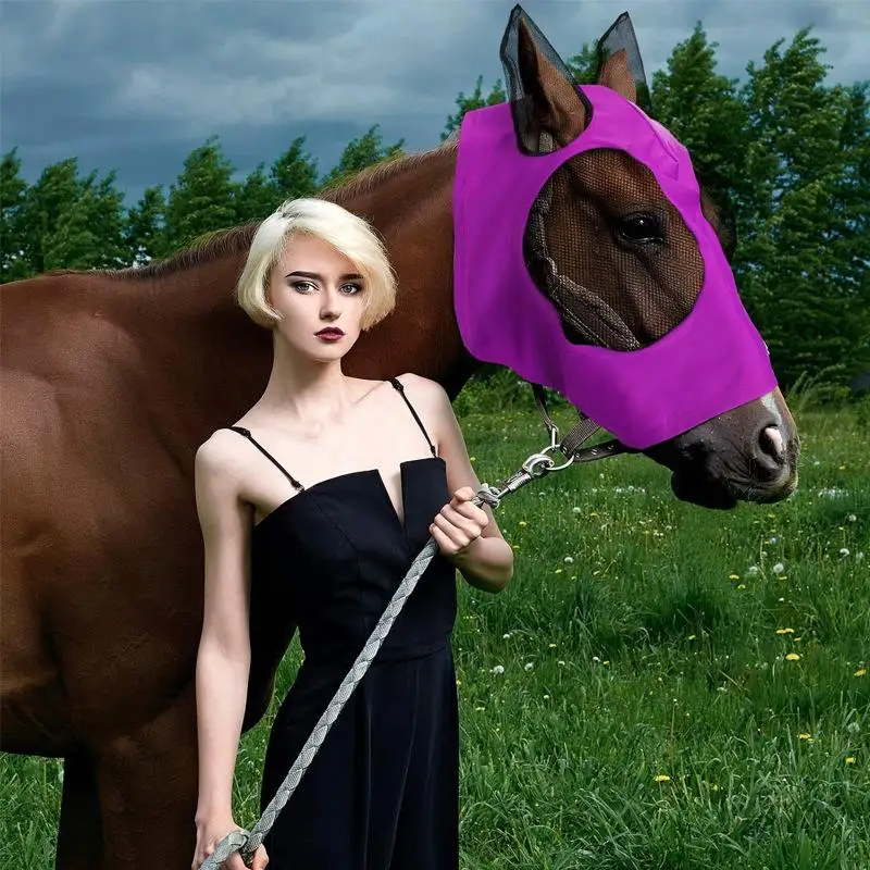 Anti-Fly Mesh Equine Mask Stretch Horse Fly Mask Covered Ears Long Nose Nose Protection Horse Care Supplies
Anti-Fly Mesh Equine Mask Stretch Horse Fly Mask Covered Ears Long Nose Nose Protection Horse Care Supplies
