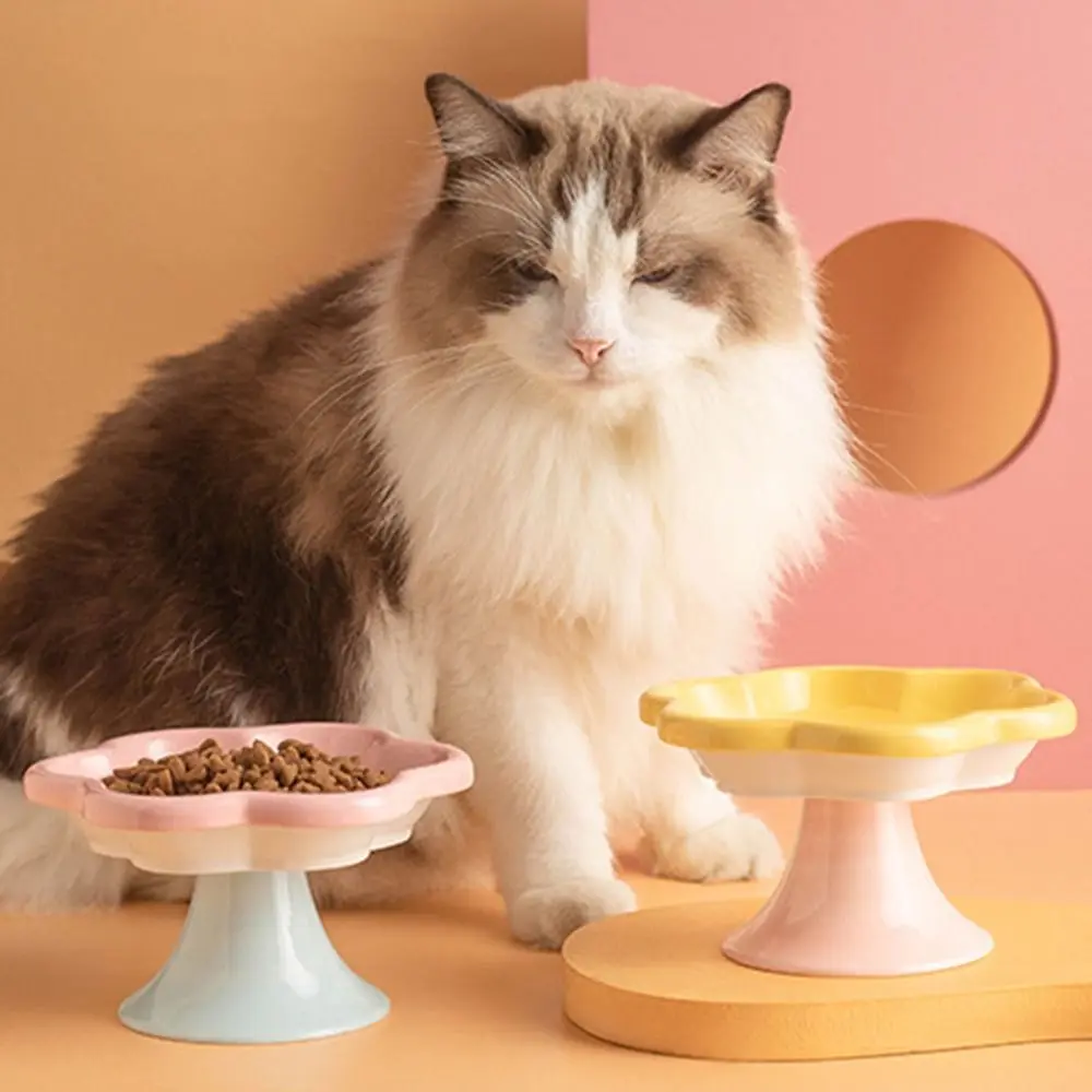 Anti Tipping Ceramic Cat Bowl Non-slip Neck Protection Pet Drinking Eating Feeder Cute Stable Elevated Cats Feeder Basin
Anti Tipping Ceramic Cat Bowl Non-slip Neck Protection Pet Drinking Eating Feeder Cute Stable Elevated Cats Feeder Basin