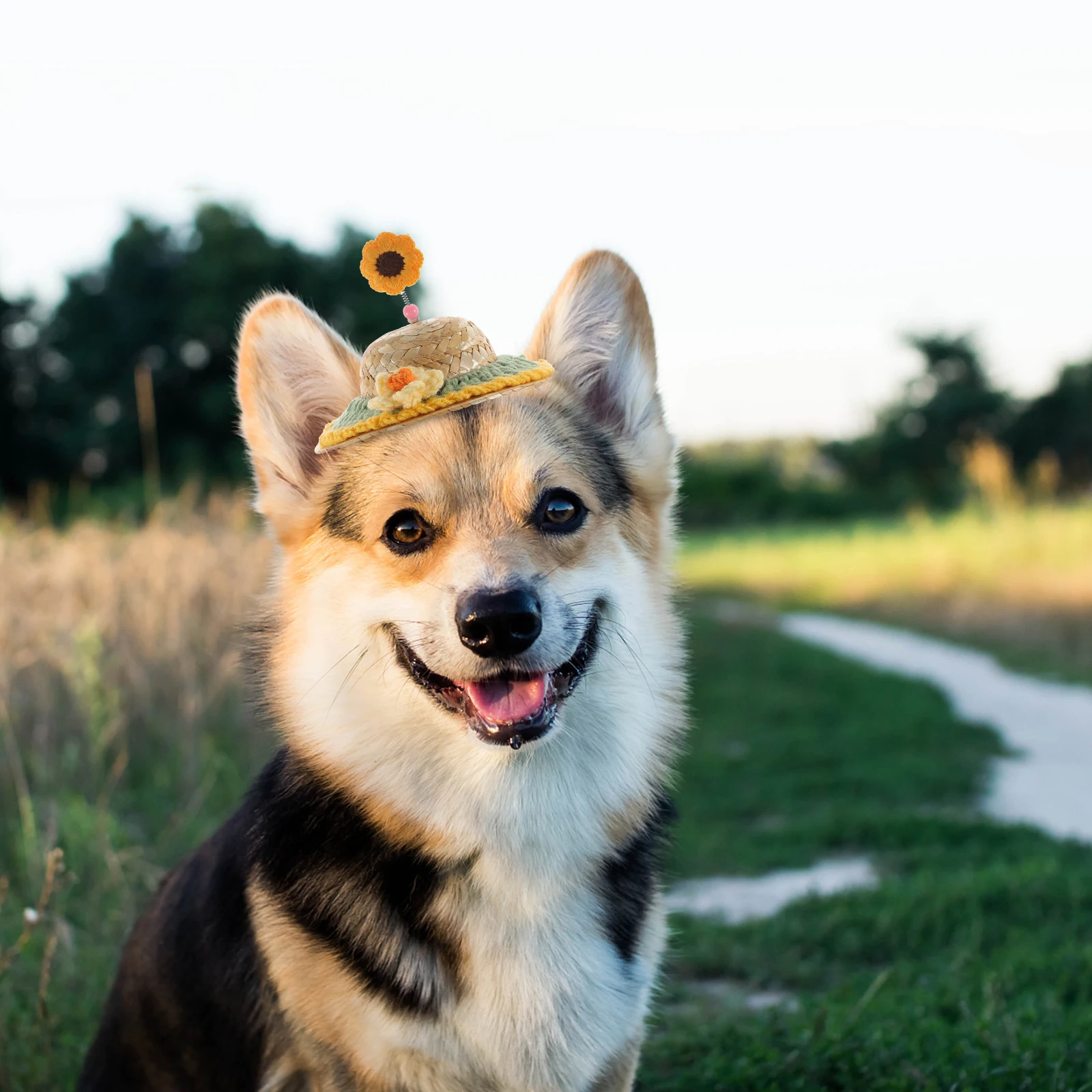 Adjustable Pet Hat Puppy Cat Small Dog Party Costume Straw Cosplay Decorative Dog Kitten Accessory Wear-Resistant Costume Hat
Adjustable Pet Hat Puppy Cat Small Dog Party Costume Straw Cosplay Decorative Dog Kitten Accessory Wear-Resistant Costume Hat