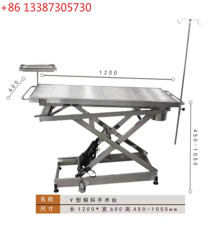 Pet Grooming Examination Operating Table 304 Stainless Steel Animal Diagnosis and Treatment Operating Table
Pet Grooming Examination Operating Table 304 Stainless Steel Animal Diagnosis and Treatment Operating Table