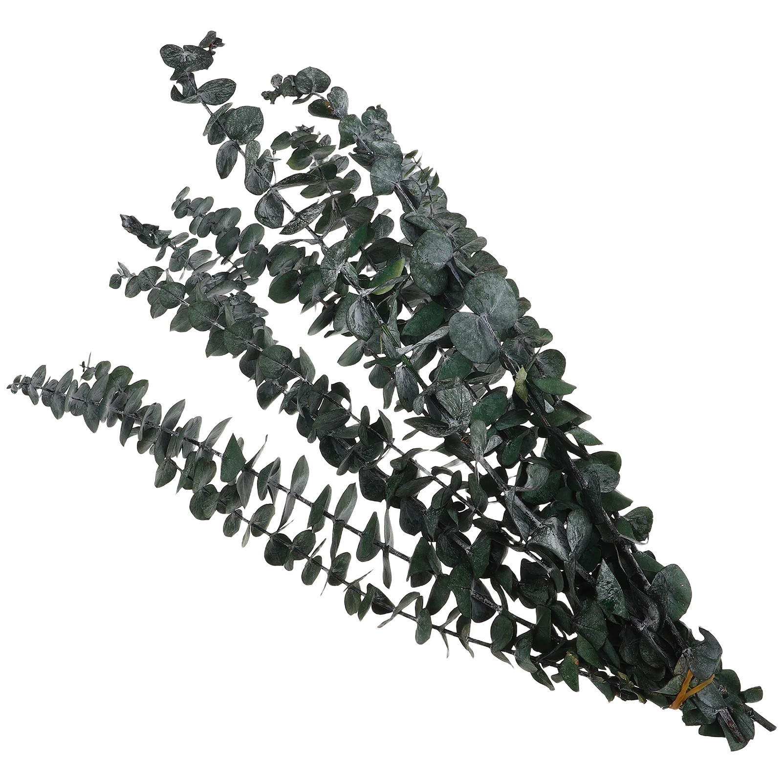 Eucalyptus Leaves Dried Stems Garland Decor Artificial Wreath Party Favors Longlasting Preserved Flowers Stylish Shape Handmade
Eucalyptus Leaves Dried Stems Garland Decor Artificial Wreath Party Favors Longlasting Preserved Flowers Stylish Shape Handmade