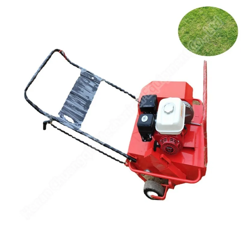 Punch Aerator Push Portable Hole Punching Machine for Golf Lawn Plant Protection Machinery
Punch Aerator Push Portable Hole Punching Machine for Golf Lawn Plant Protection Machinery