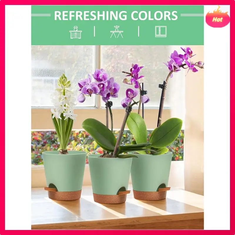 ABYP 3Pack 6.5Inch Self Watering Pots For Indoor Plants,Flower Pots Planter With Drainage Holes And Wick Rope Easy To Use , Gray
ABYP 3Pack 6.5Inch Self Watering Pots For Indoor Plants,Flower Pots Planter With Drainage Holes And Wick Rope Easy To Use , Gray