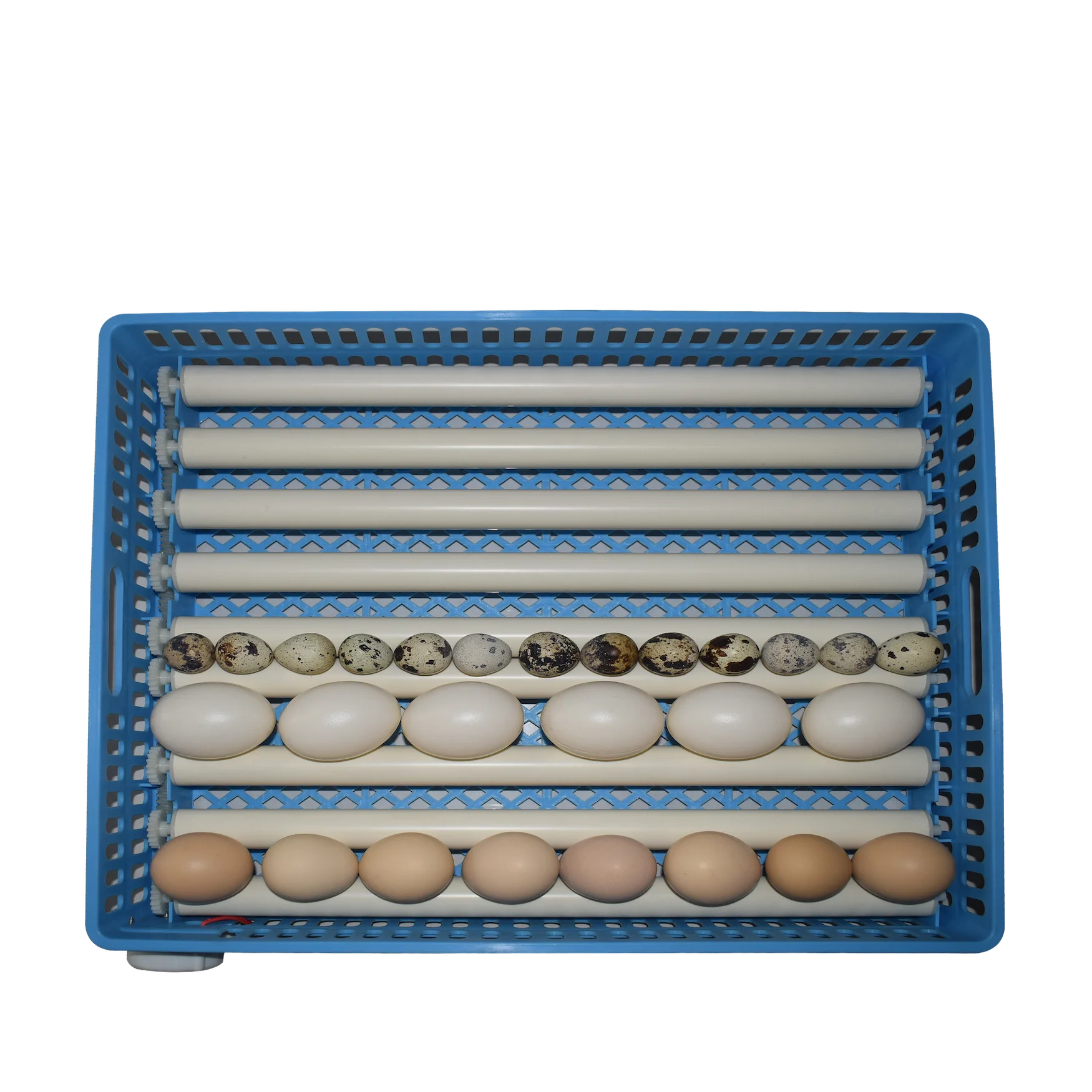 800-1000 Large Capacity Incubator High Hatching Rate Dual Power Color Steel for Farm Use Poultry Hatching Machine
800-1000 Large Capacity Incubator High Hatching Rate Dual Power Color Steel for Farm Use Poultry Hatching Machine