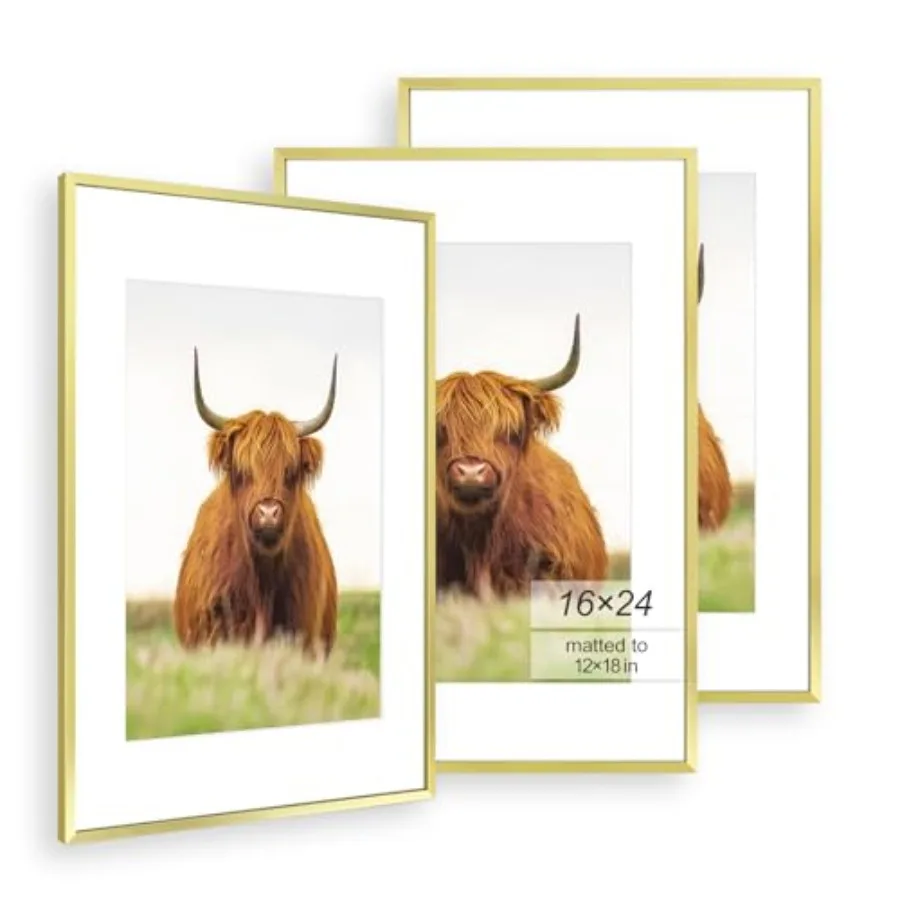 Picture Frame Set of 3, Thin Border, Display Photo 12x18 with Mat or Without Mat, Poster Frame for Wall Hanging Horizontal and
Picture Frame Set of 3, Thin Border, Display Photo 12x18 with Mat or Without Mat, Poster Frame for Wall Hanging Horizontal and
