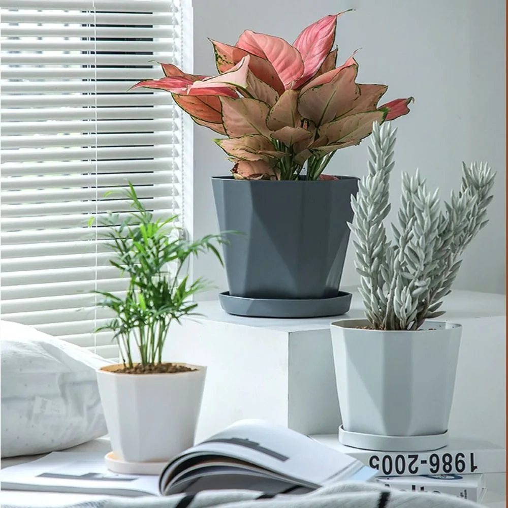 3 Set Household Round Indoor Flowerpots Nordic Thickened Plant Pot Resin with Tray Gardening Pots Potted Plants
3 Set Household Round Indoor Flowerpots Nordic Thickened Plant Pot Resin with Tray Gardening Pots Potted Plants