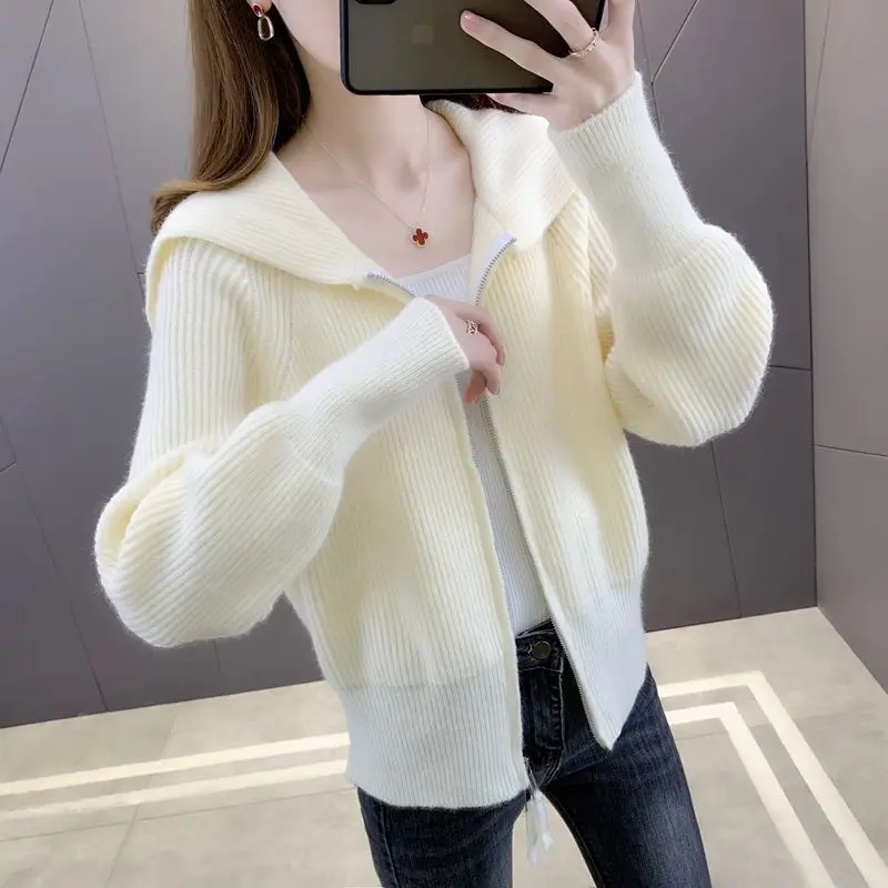 Women's Big Lapel Zipper Knit Cardigan Sweater, Long Sleeve Jacket, Loose Elegant Short Tops, Summer Autumn Fashion, New, 2025
Women's Big Lapel Zipper Knit Cardigan Sweater, Long Sleeve Jacket, Loose Elegant Short Tops, Summer Autumn Fashion, New, 2025