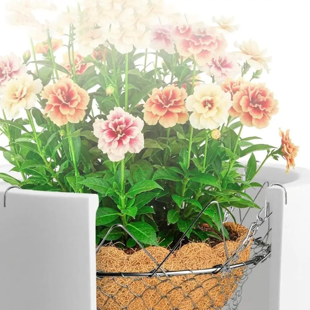 Durable Stainless Steel Adjustable Planter Fillers Heavy Duty Rustproof Plant Pot Riser with Chains Planter Inserts Home Garden
Durable Stainless Steel Adjustable Planter Fillers Heavy Duty Rustproof Plant Pot Riser with Chains Planter Inserts Home Garden